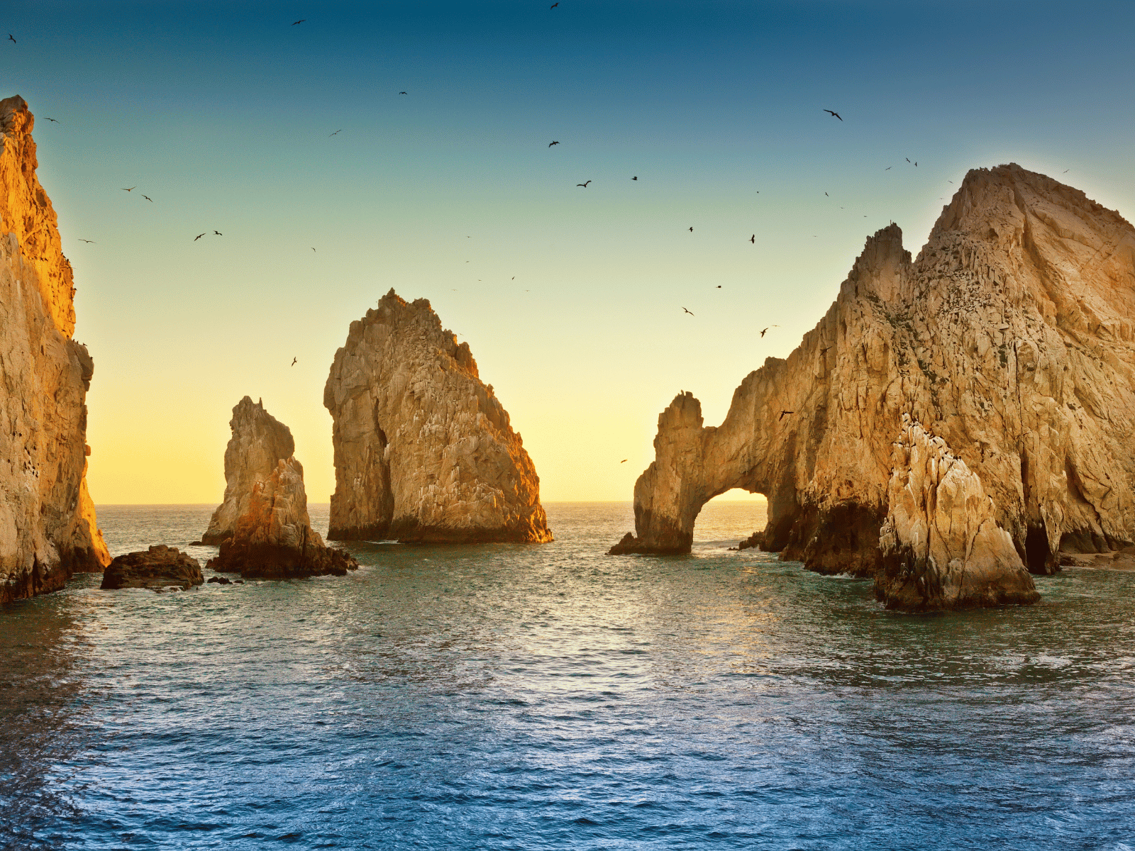 Los-Cabos