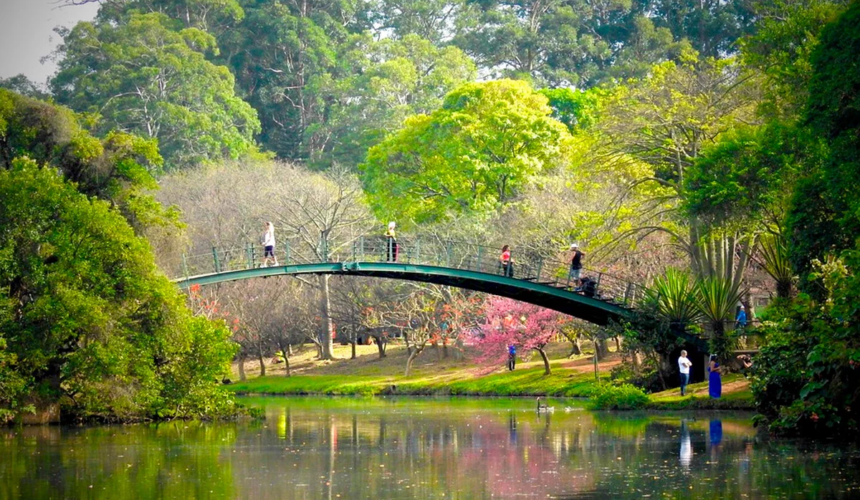 Parque-Ibirapuera-5-1-860x500