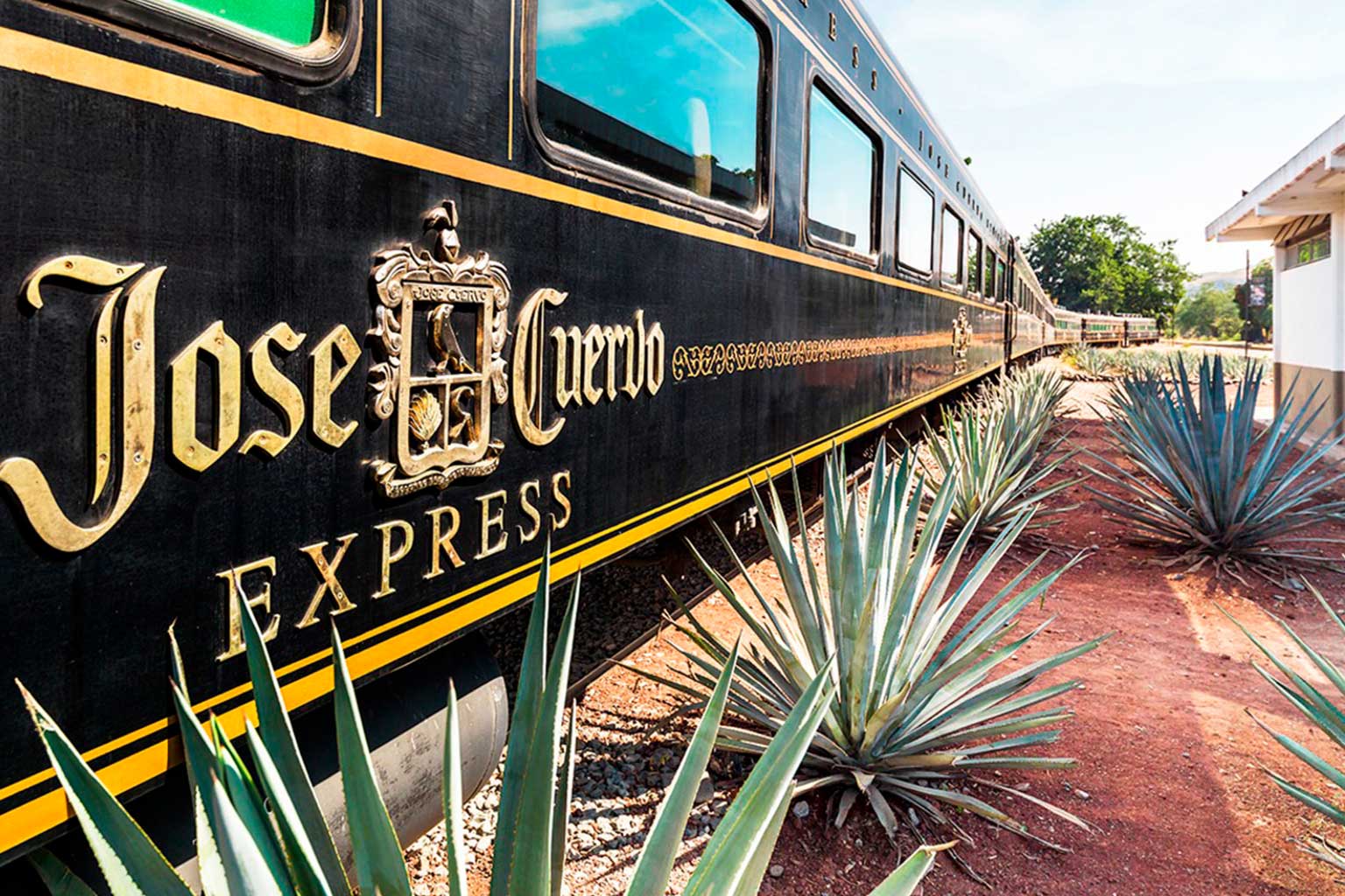 jalisco-escapadas-tren-tequila