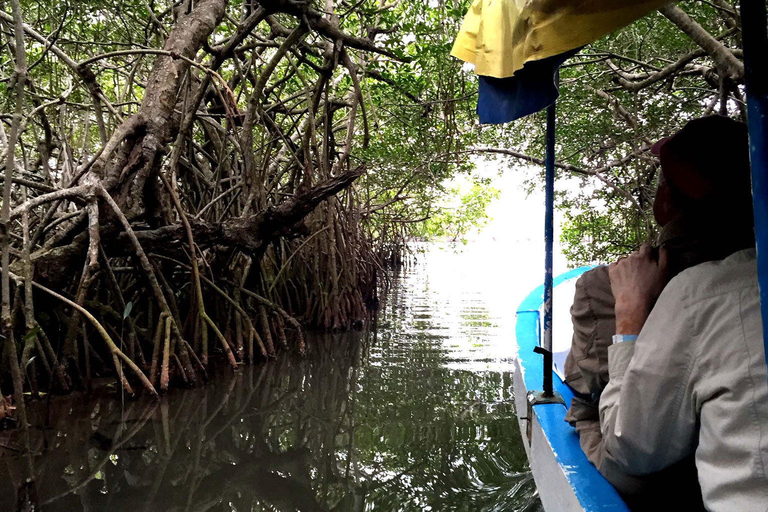 veracruz-mandinga-paseo