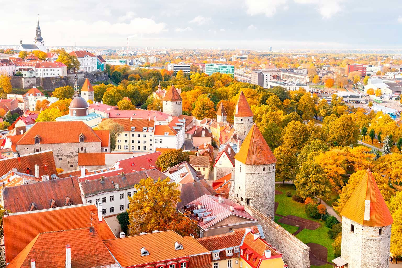 baltico-tallin2