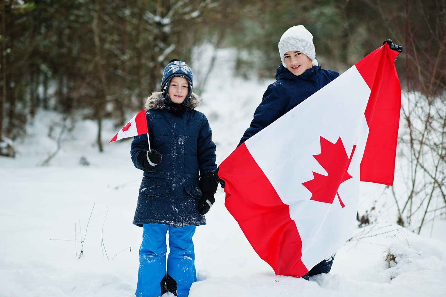 canada-este-invierno-bandera1