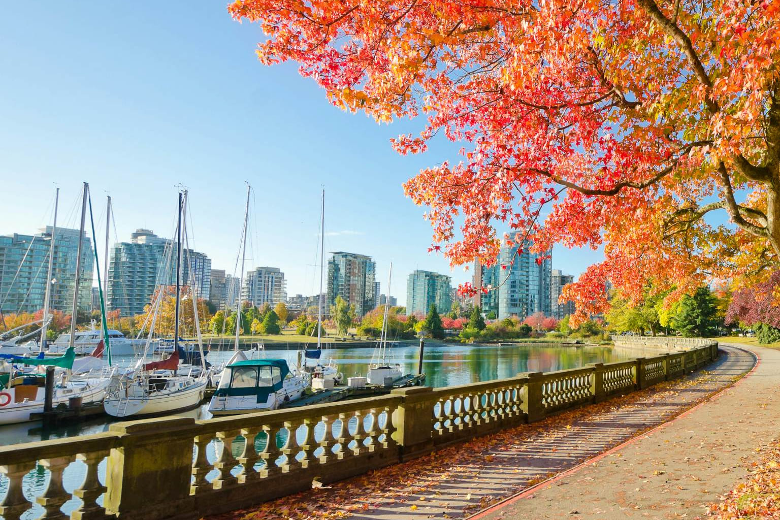 canada-oeste-invierno-stanleypark2