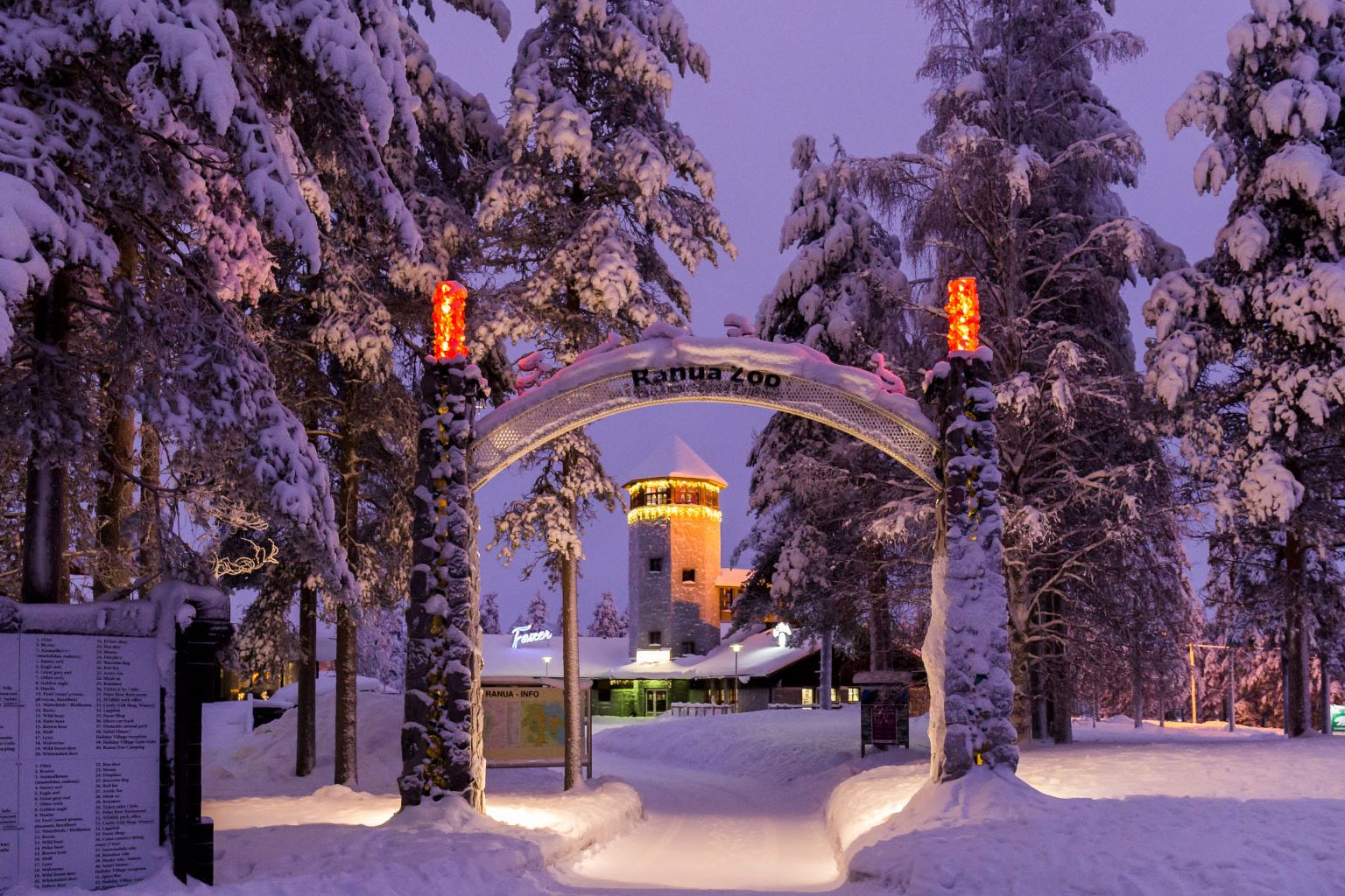 escandinavia-navidad-rovaniemi-ranua-zoo