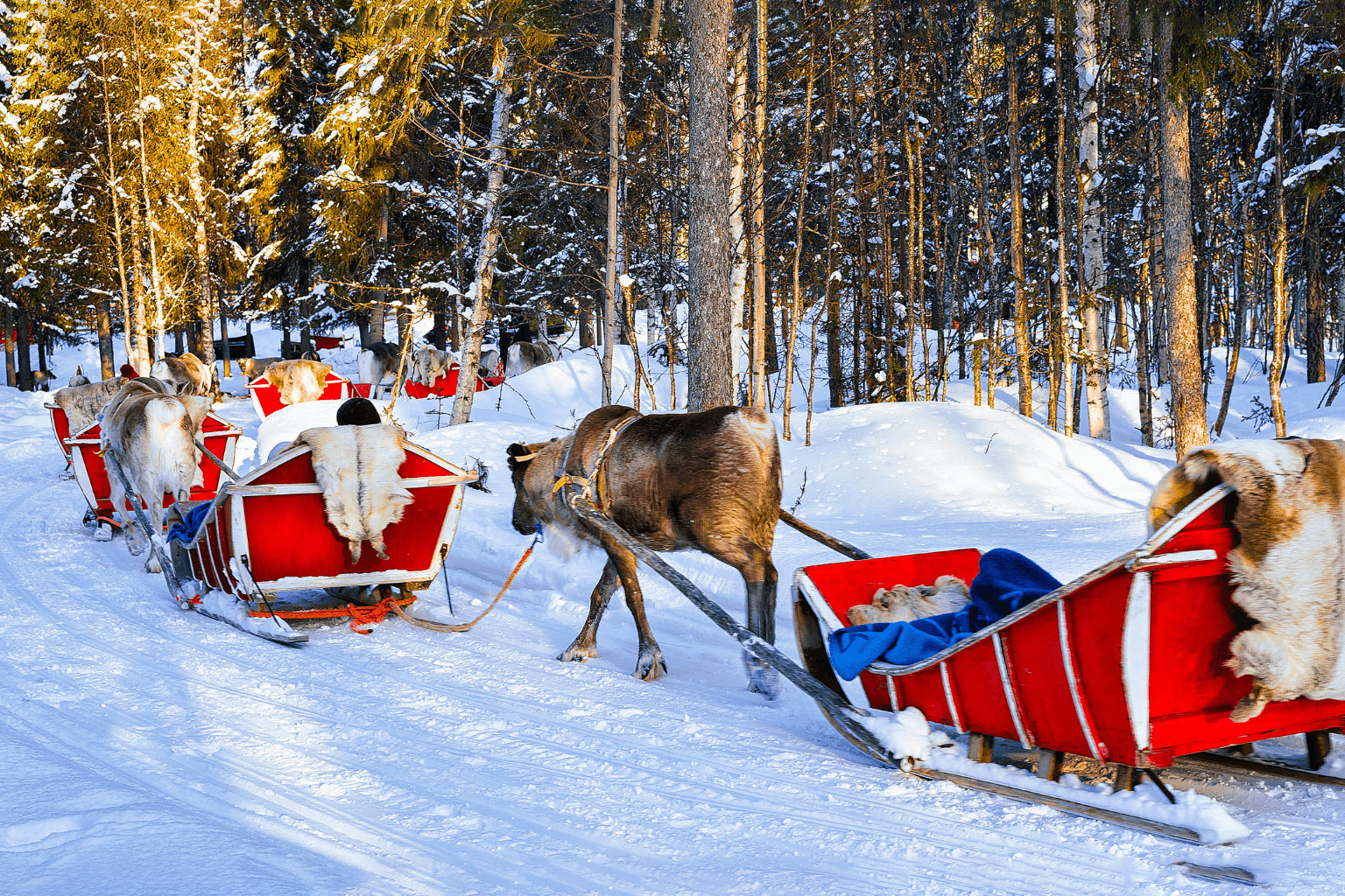 escandinavia-navidad-rovaniemi