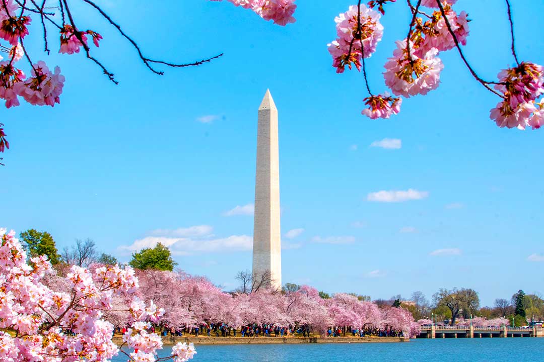 estados-unidos-washington2