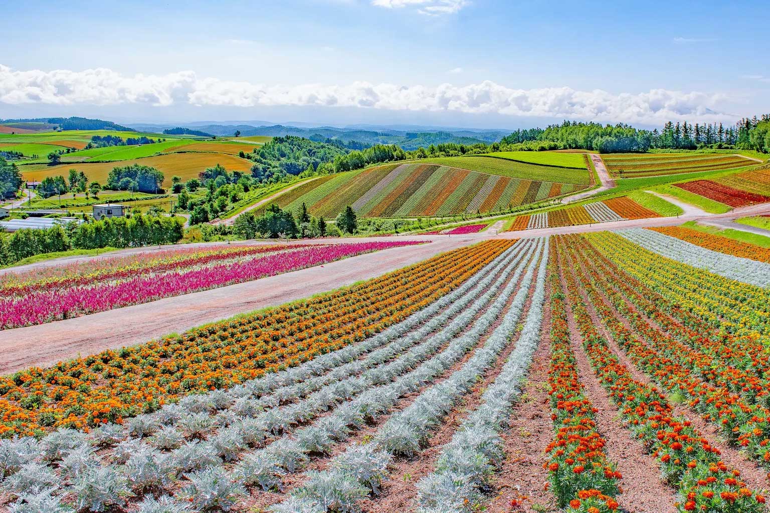 japon-furano