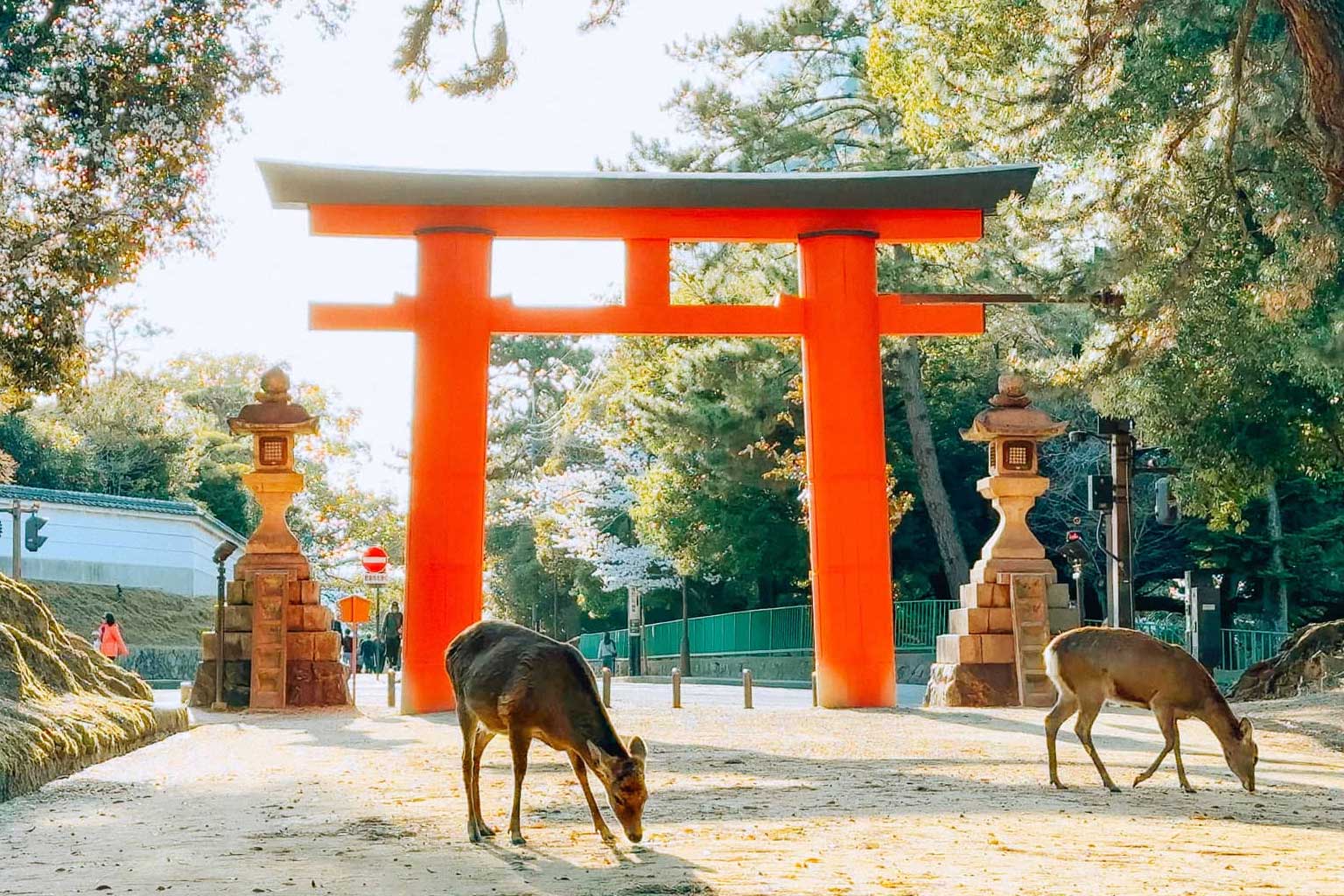 japon-nara