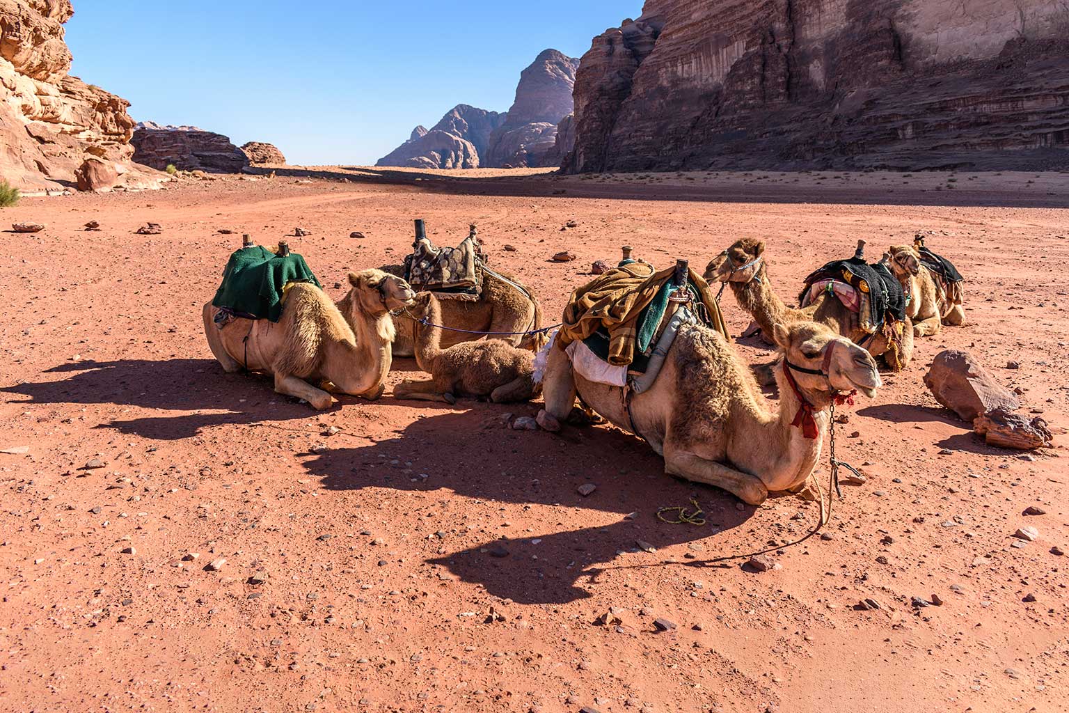 jordania-beduinos