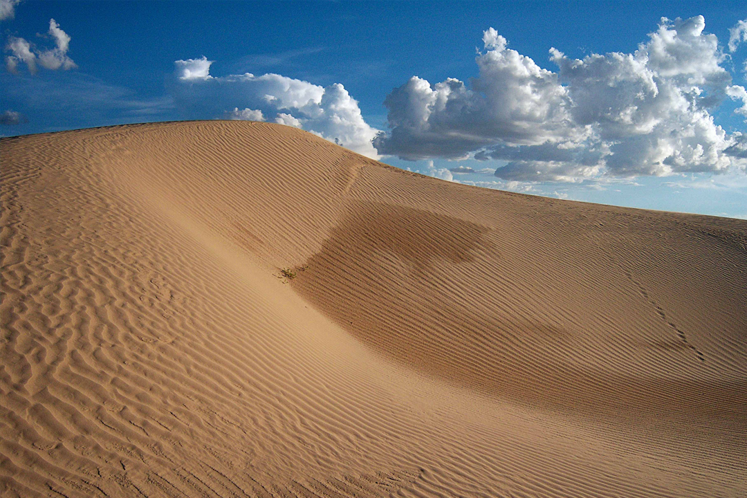 chihuahua-desierto-samalayuca