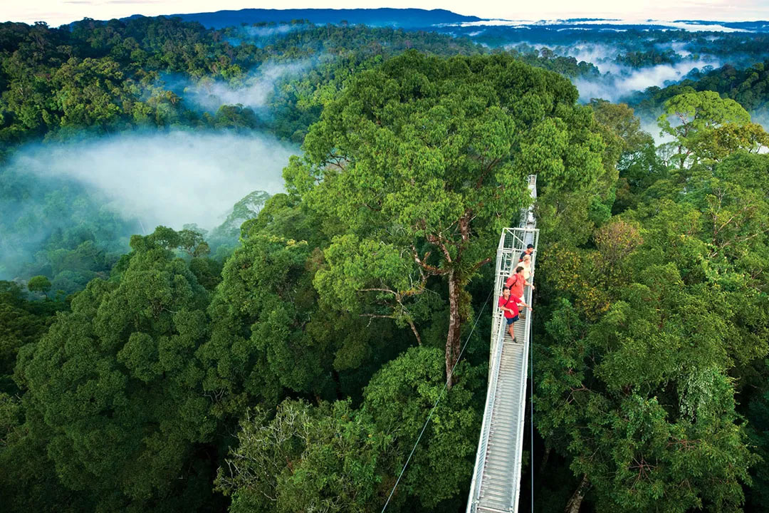 costa-rica-monteverde2