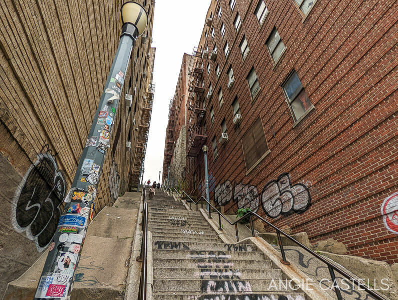 Nueva York 7