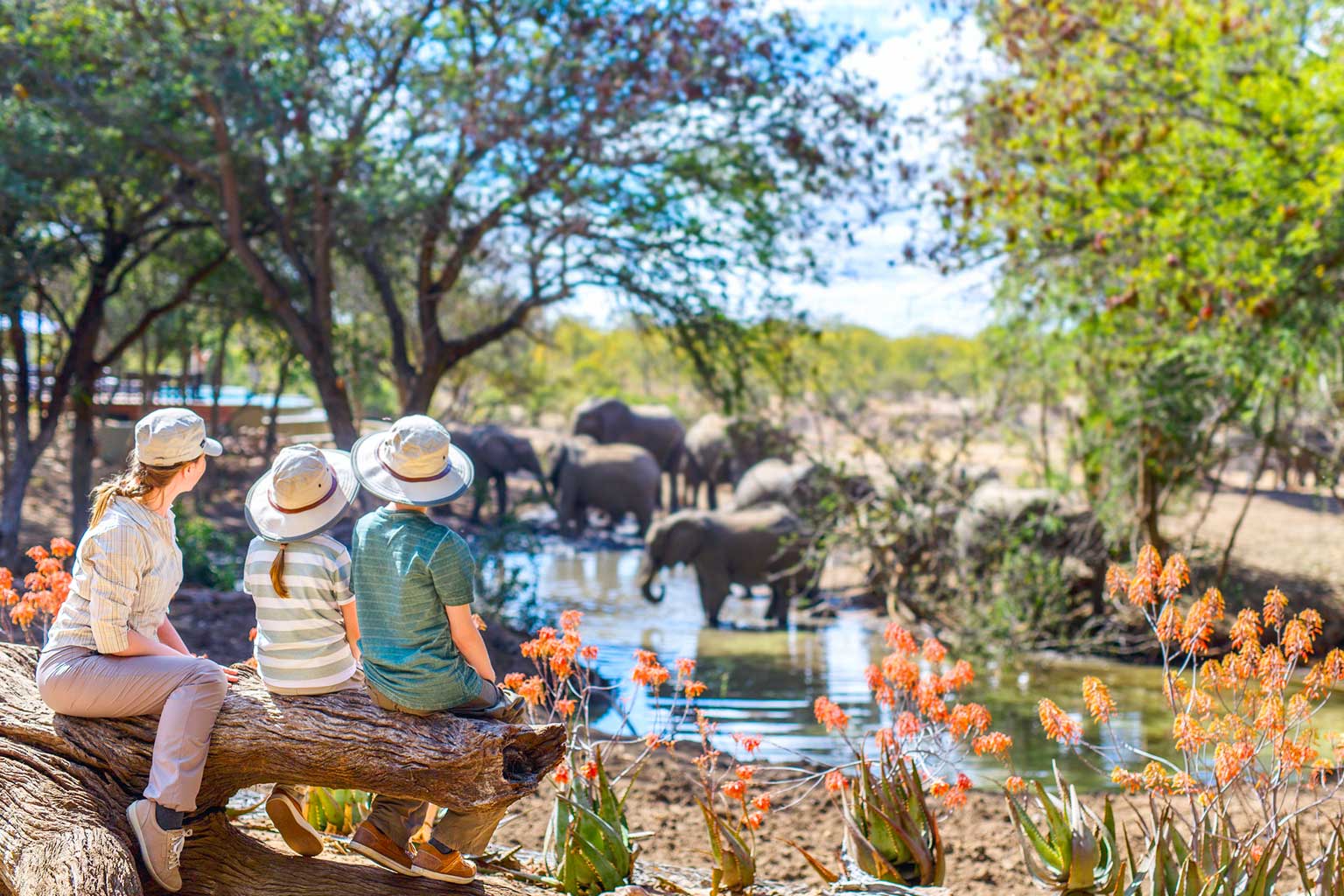 africa-johannesburgo-parque-kruger