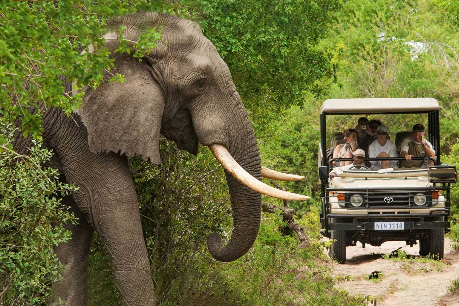 africa-johannesburgo-parque-kruger2