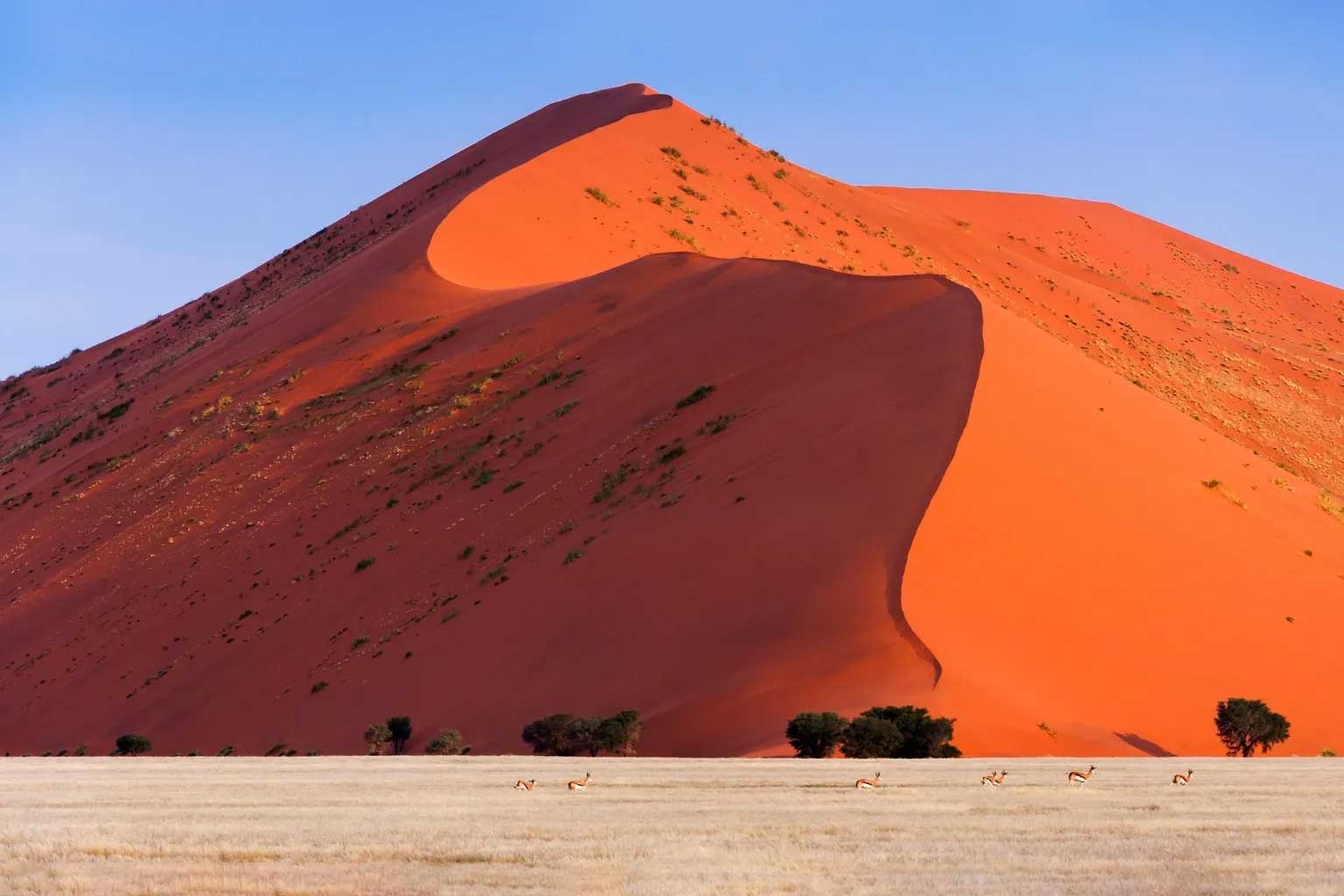 africa-nambia-namib2