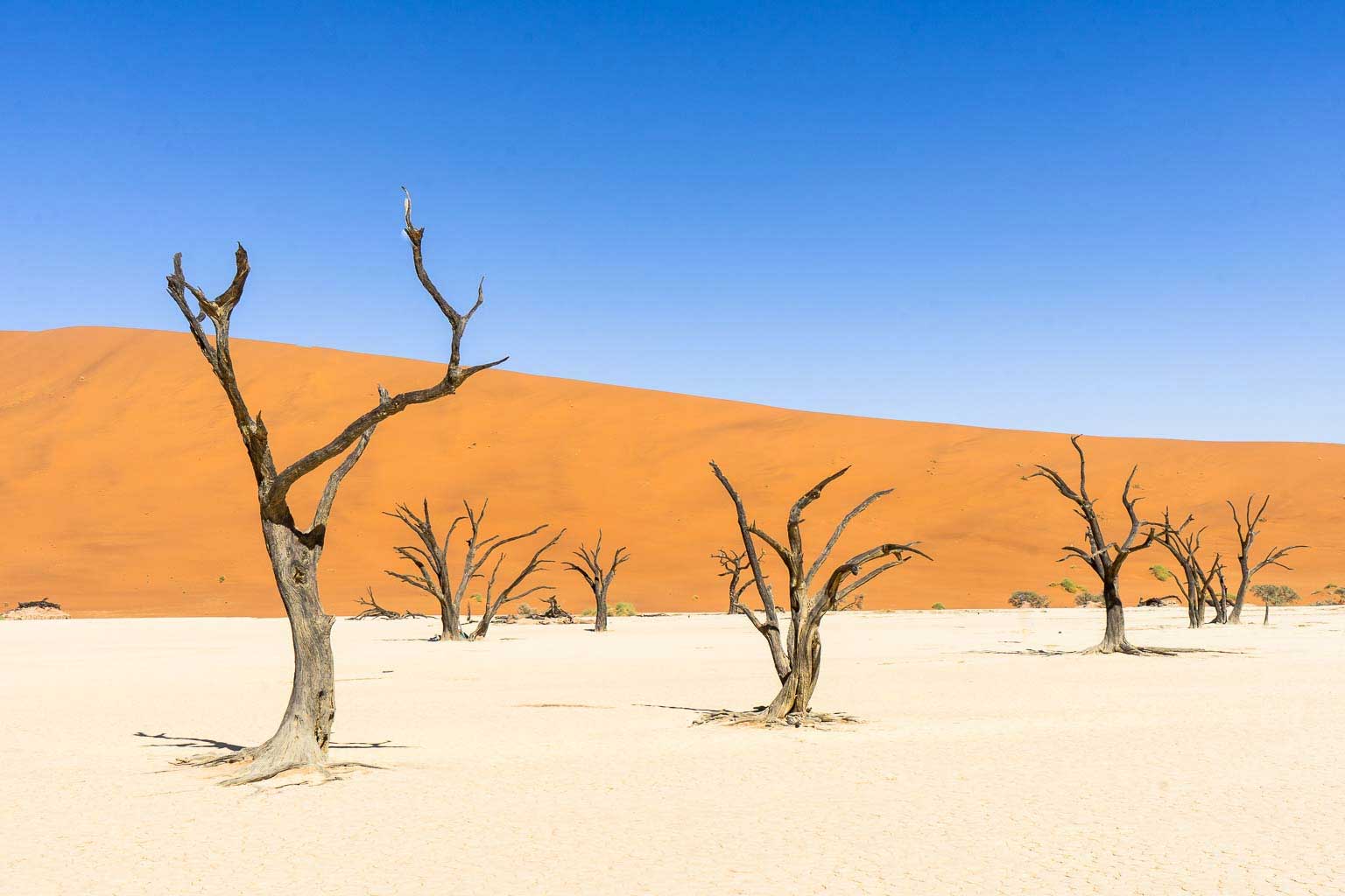 africa-nambia-namib3
