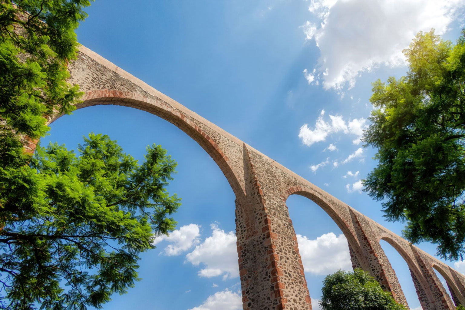 chihuahua-arcos