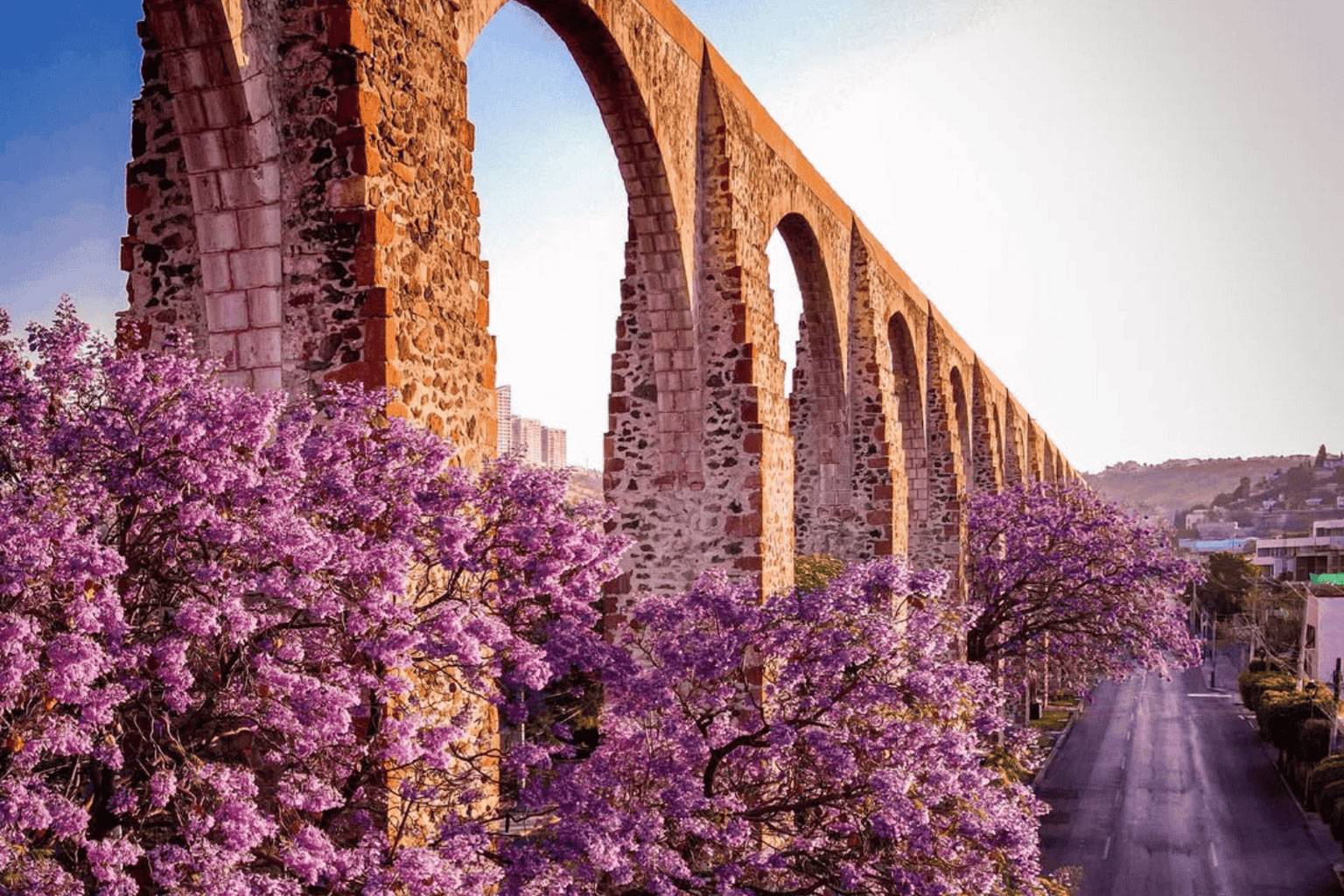 chihuahua-arcos1