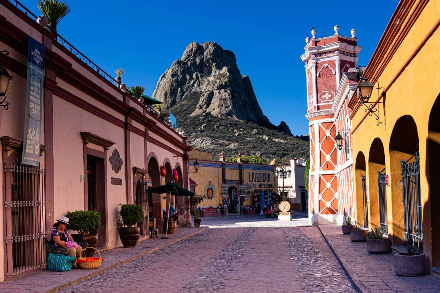 chihuahua-bernal