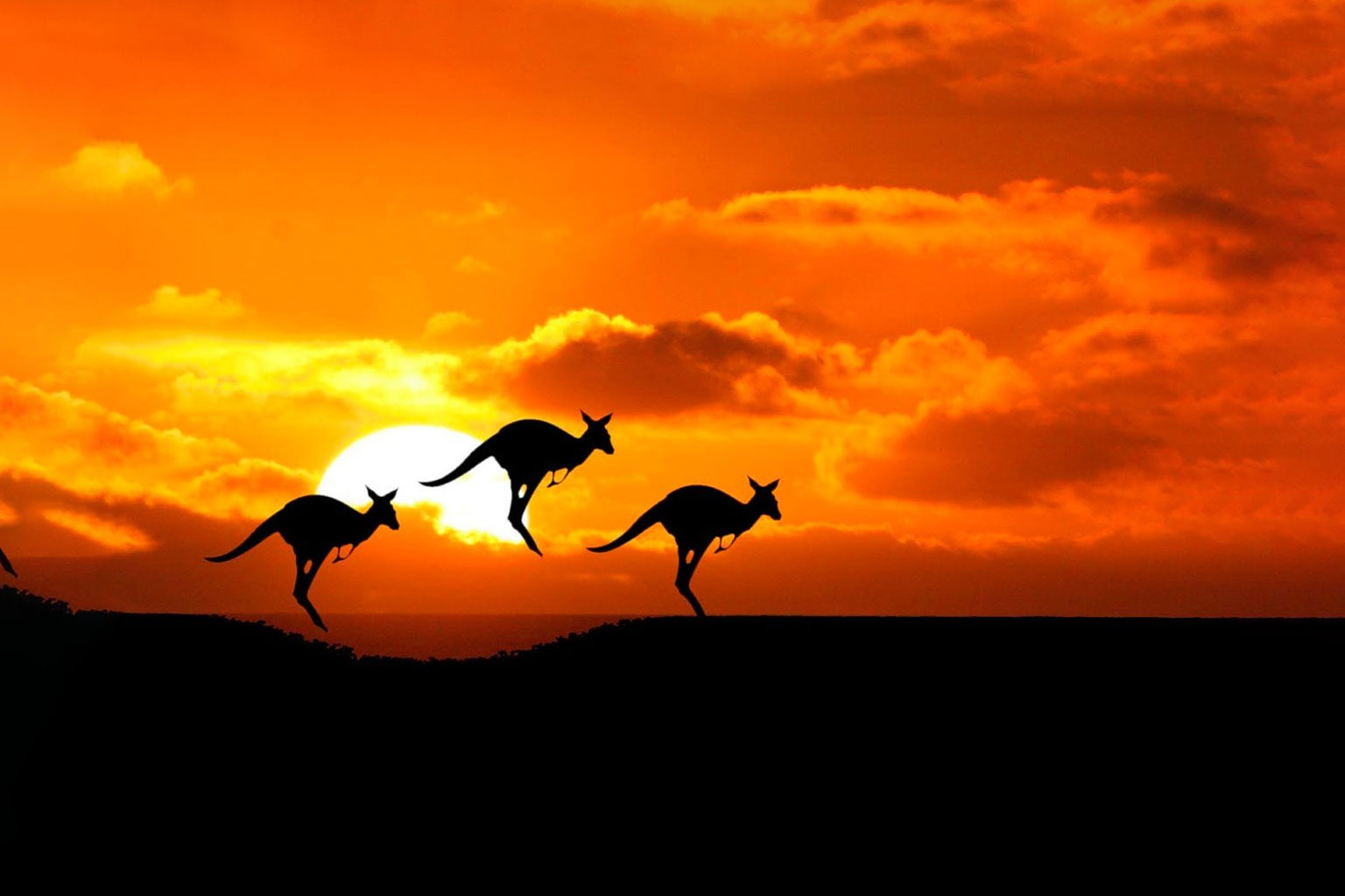 oceania-australia2
