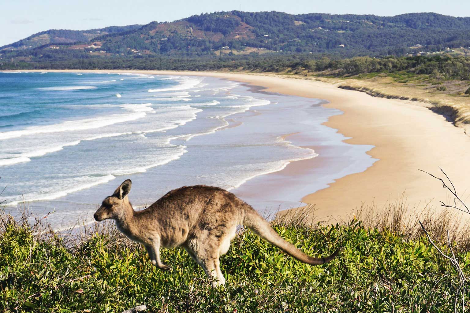 oceania-australia4