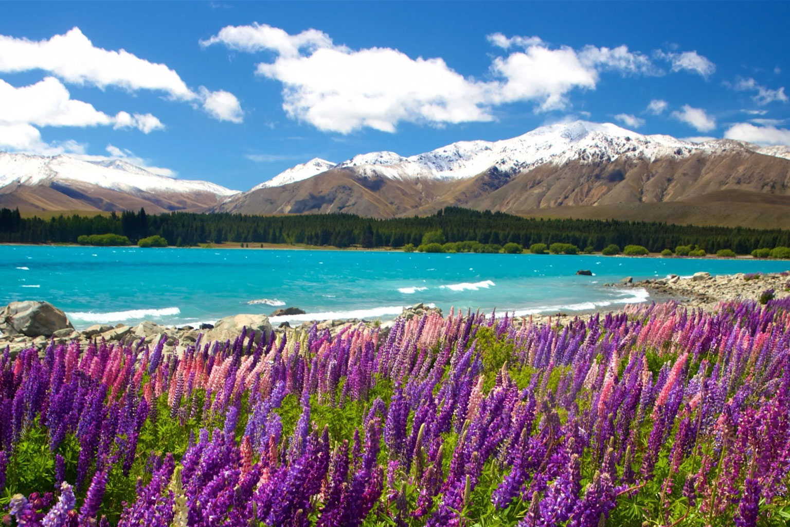 oceania-nueva-zelanda-tekapo