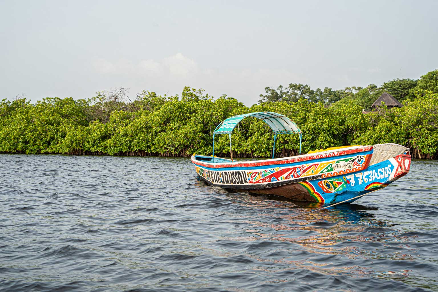 senegal-delta-saloum