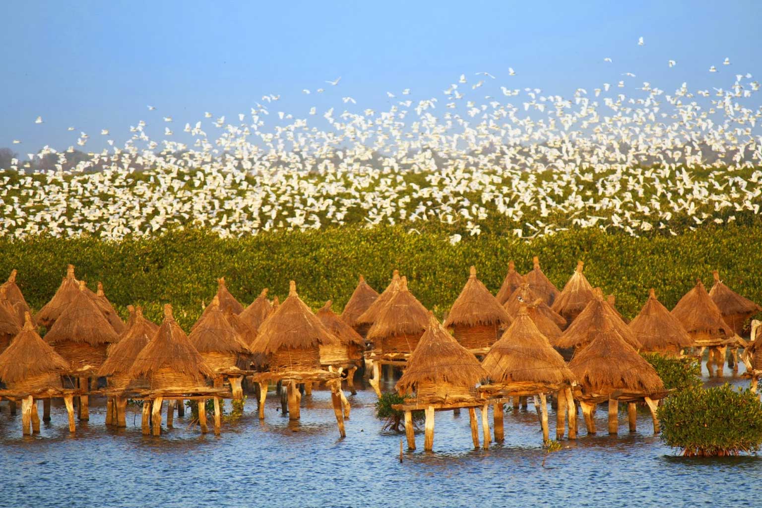 senegal-fadiouth1