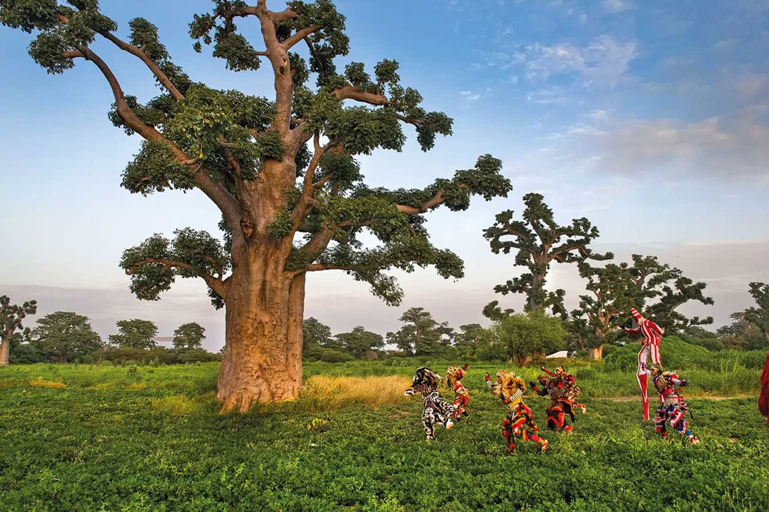 senegal-parque-nacional1
