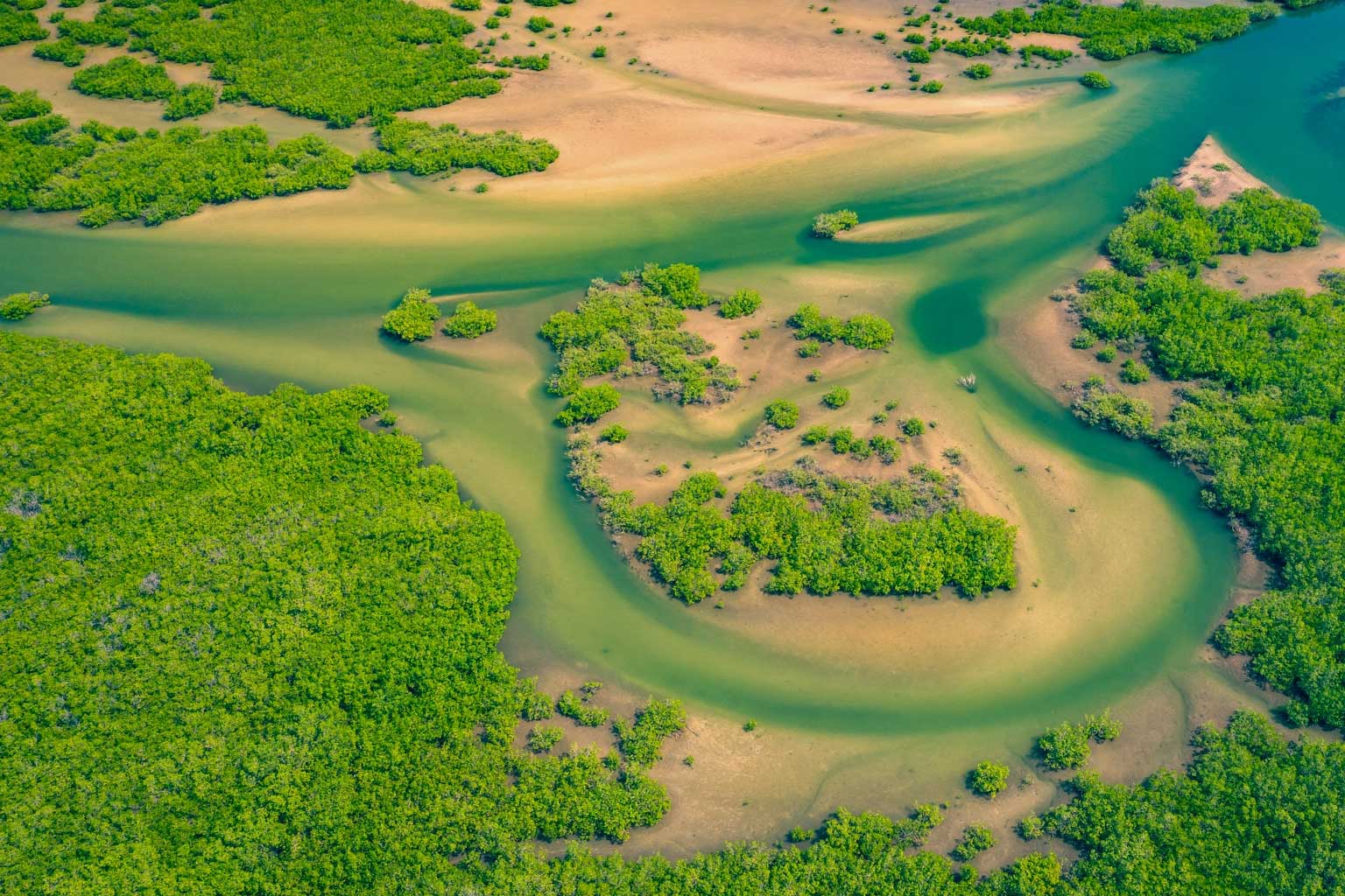 senegal-sine-saloum