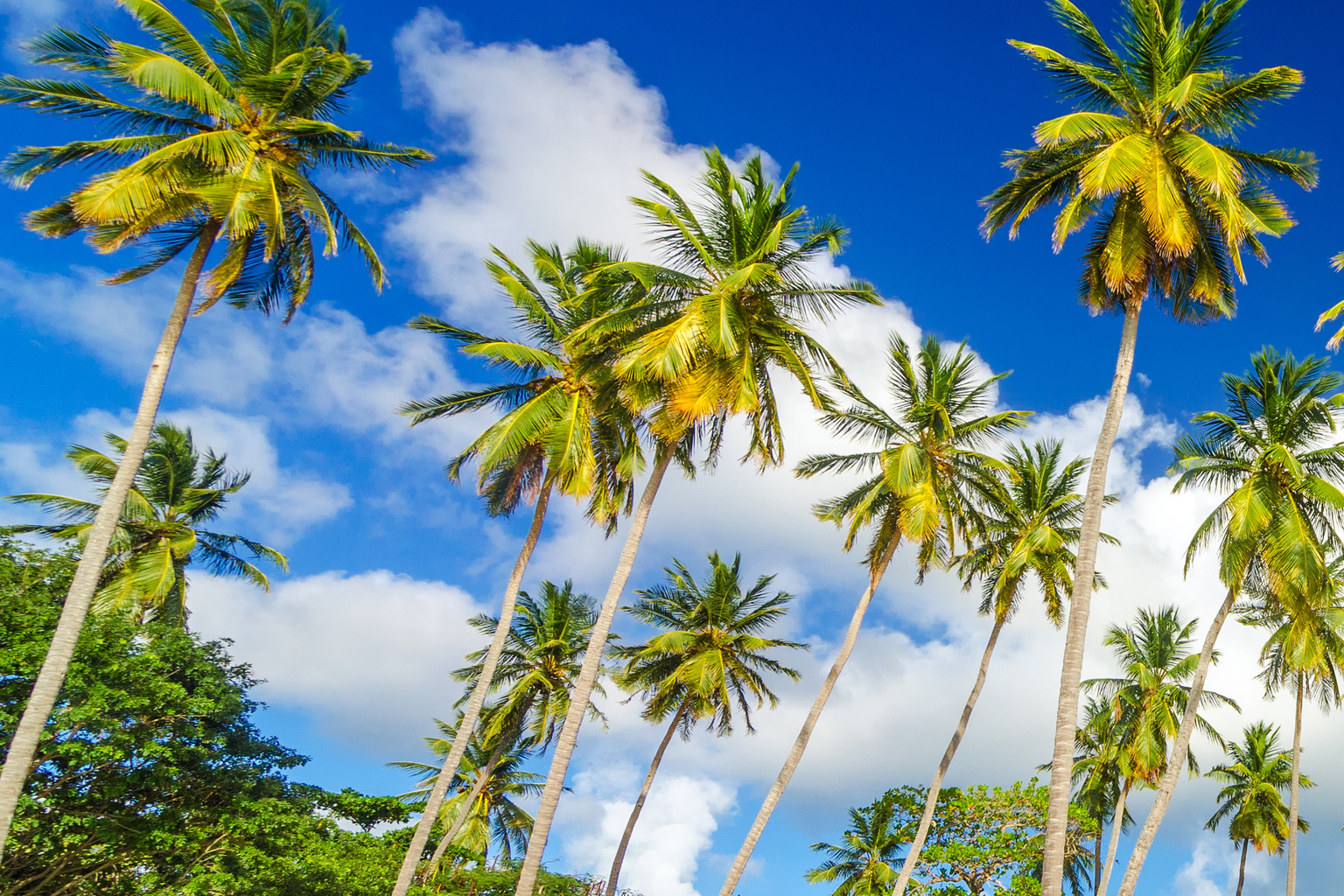 colombia-isla-rosario1