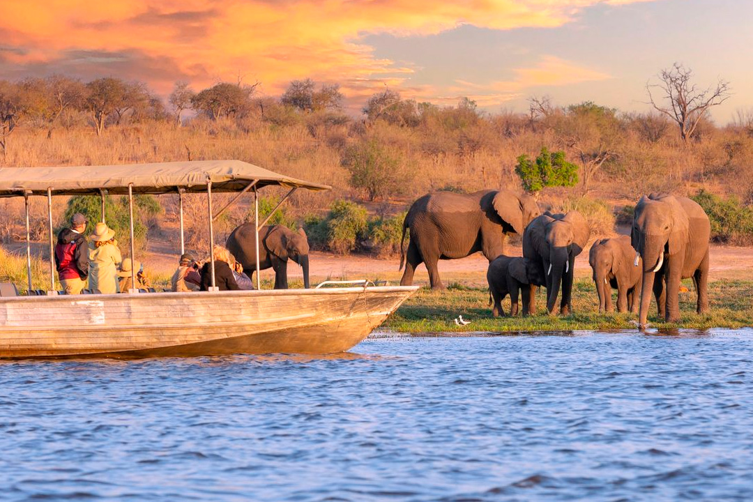 africa-chobe-parque