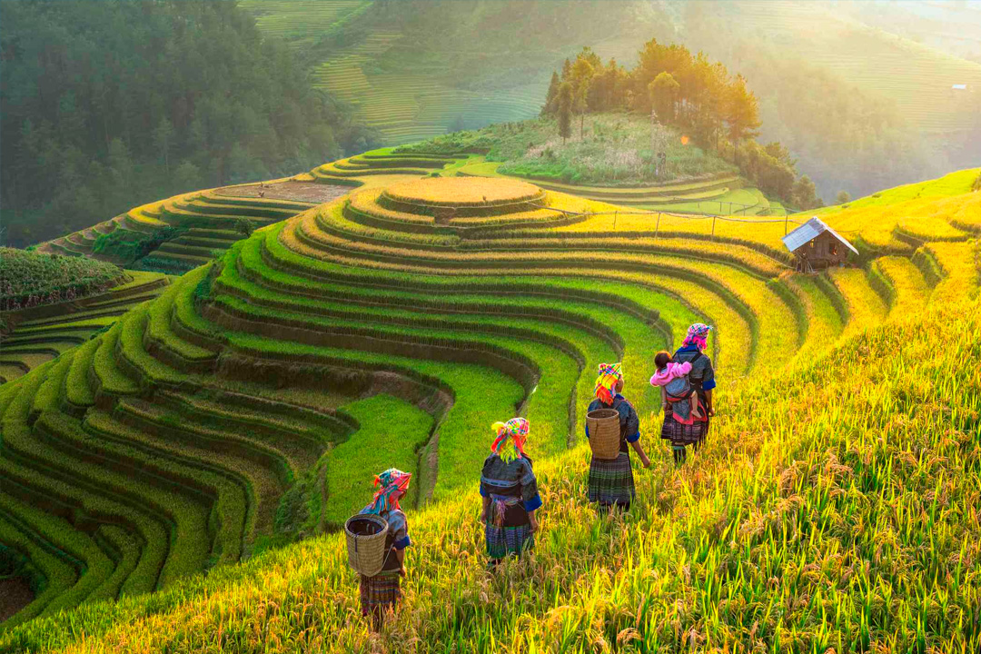 vietnam-sapa2