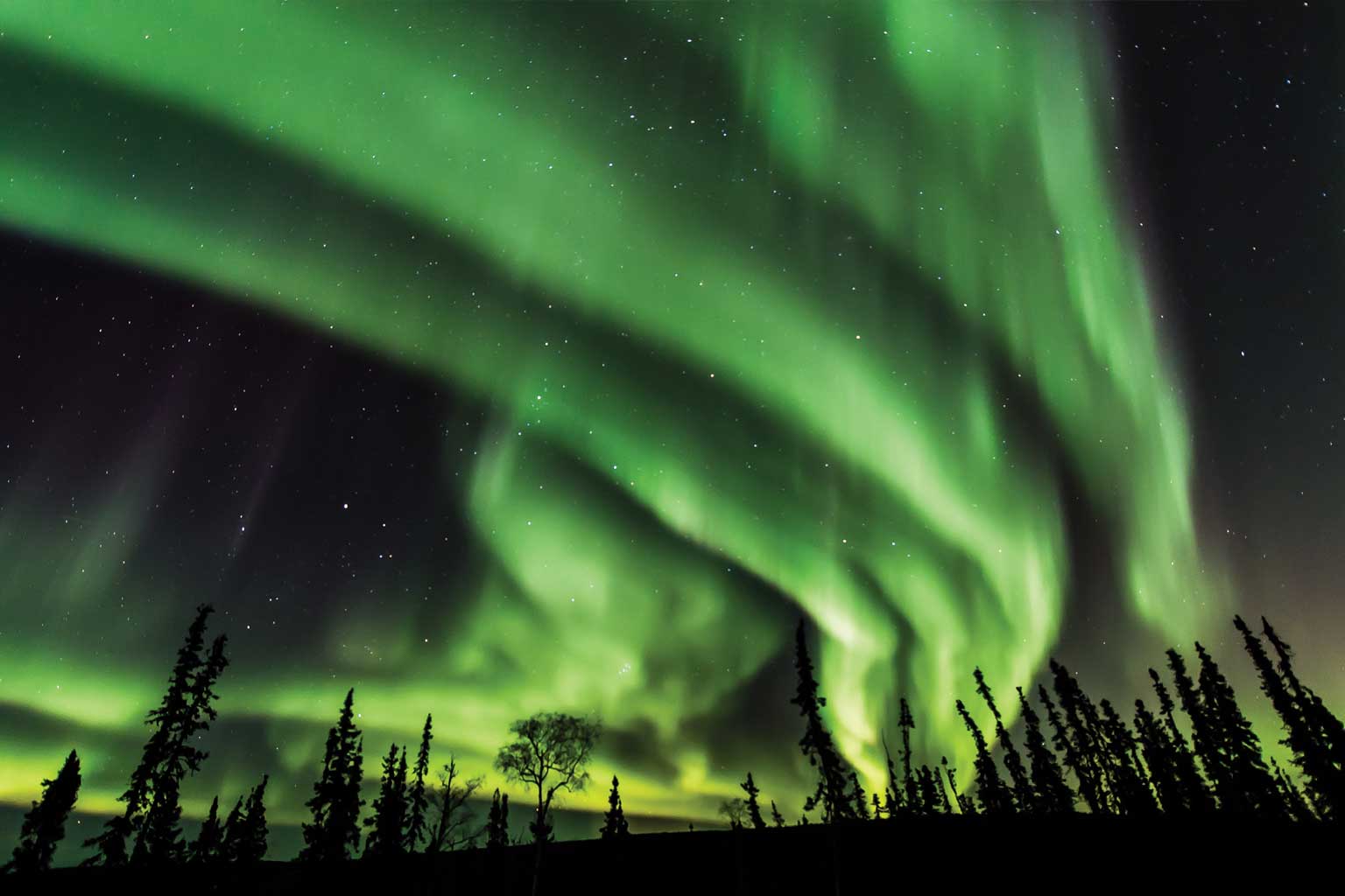 auroras-fairbanks