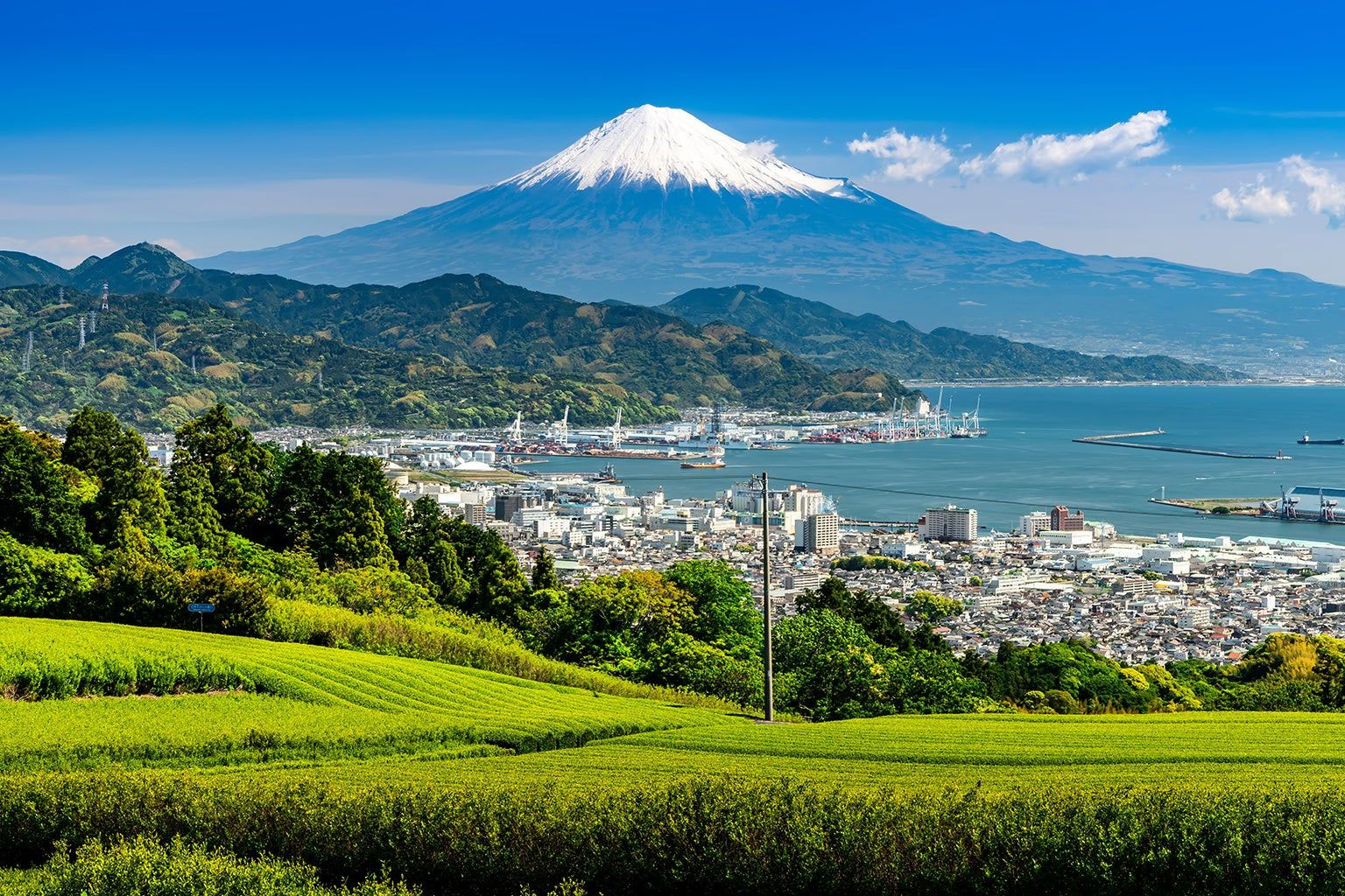 japon-shizuoka1