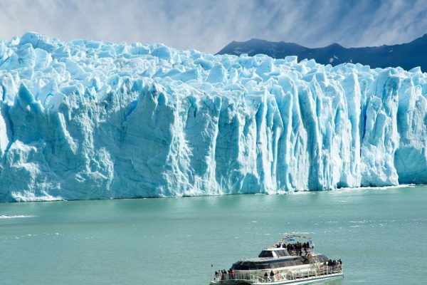 Calafate 1