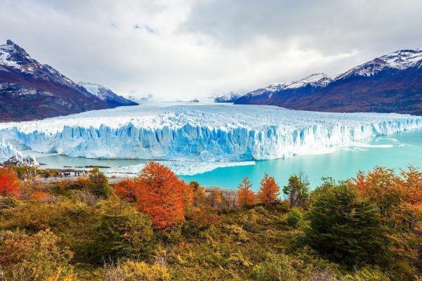 Calafate 3