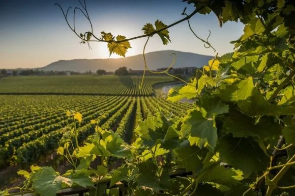 Franciacorta 3