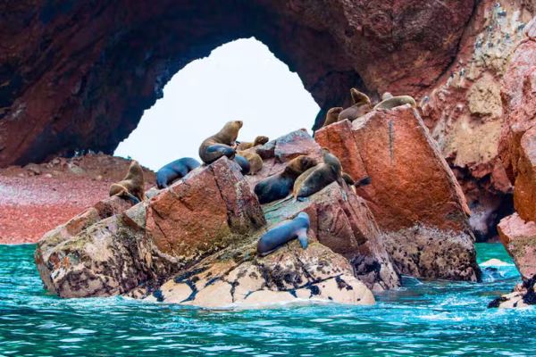 Islas Ballestas 4