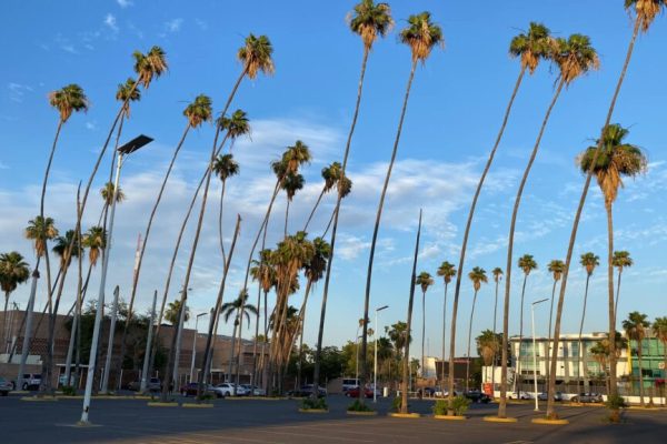 Los Mochis 4