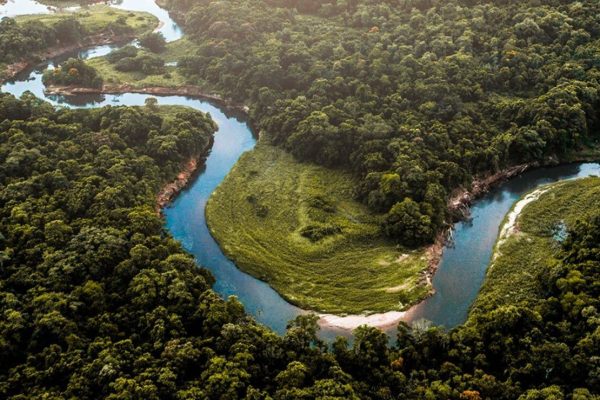 Parque Natural Amazónico 4