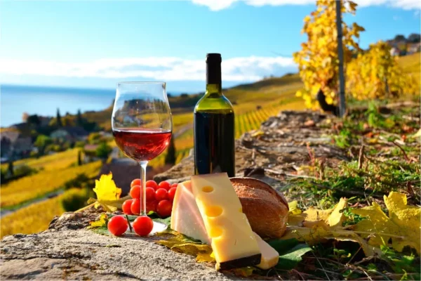 RUTA-VINO-Y-EL-QUESO
