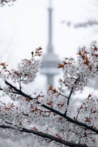 Tour-Destacados-canada-este-invierno-toronto2