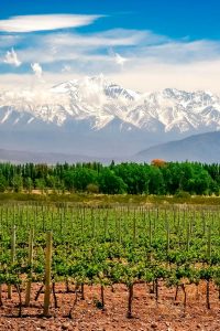 argentina-mendoza