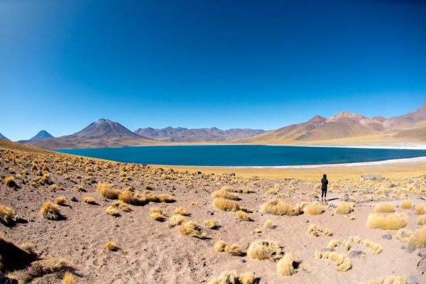 atacama 2