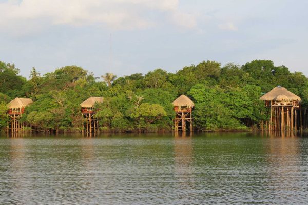 brasil-manaus-selva-hotel-amazonia