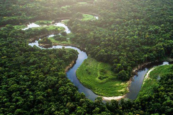 brasil-manaus-selva