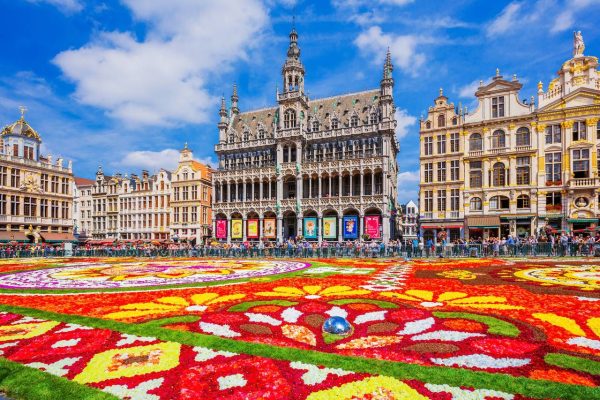 bruselas 1