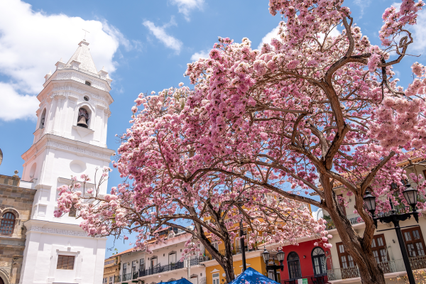 casco-viejo