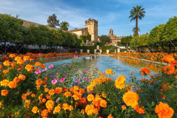 cordoba 1